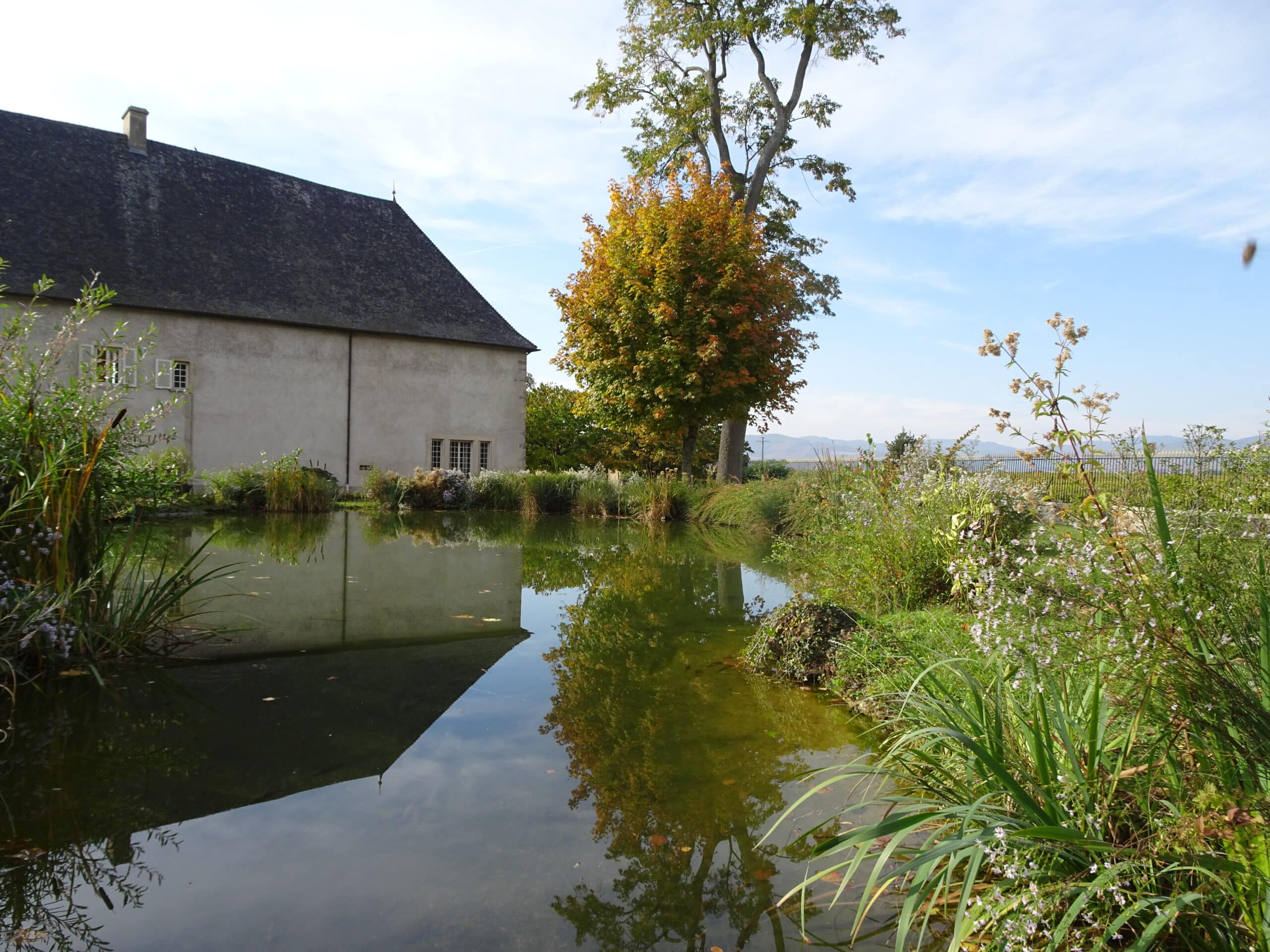 Château de Pizay Chef : Bertrand MILLAR